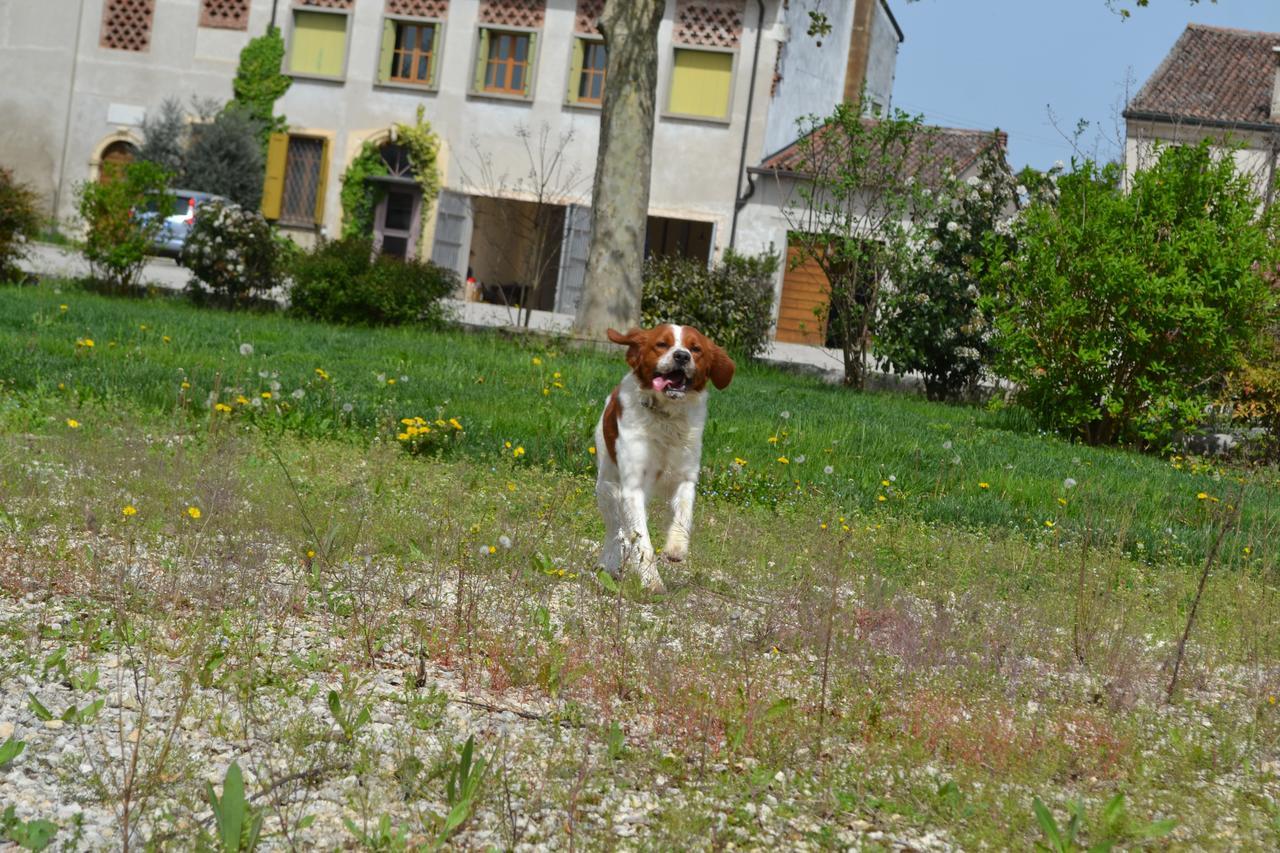 Agriturismo Otto Ducati D'Oro Isola della Scala Luaran gambar