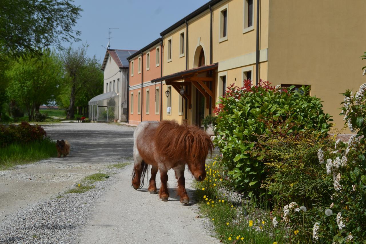 Agriturismo Otto Ducati D'Oro Isola della Scala Luaran gambar